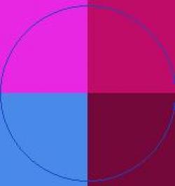 Aliquam hendrerit lobortis luptatum.